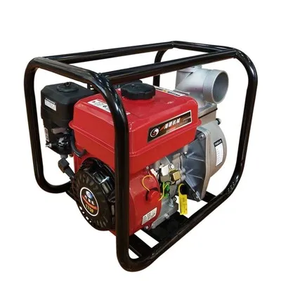 Wie tauscht man den Vergaser in einer Benzin-Wasserpumpe aus?